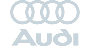 engine parts for Audi vehicles