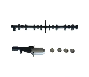 BMW N20 Valvetronic eccentric shaft repair kit with servo motor and needle bearings
